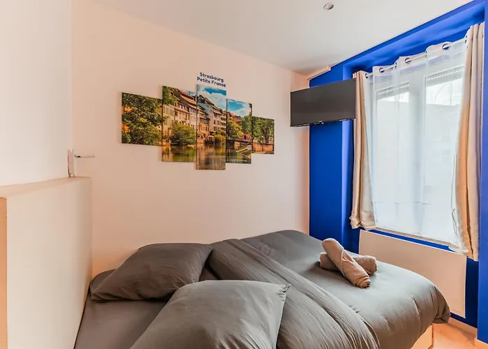 Suite 1 - Strasbourg Gare - Petite France - Commerces A Proximite