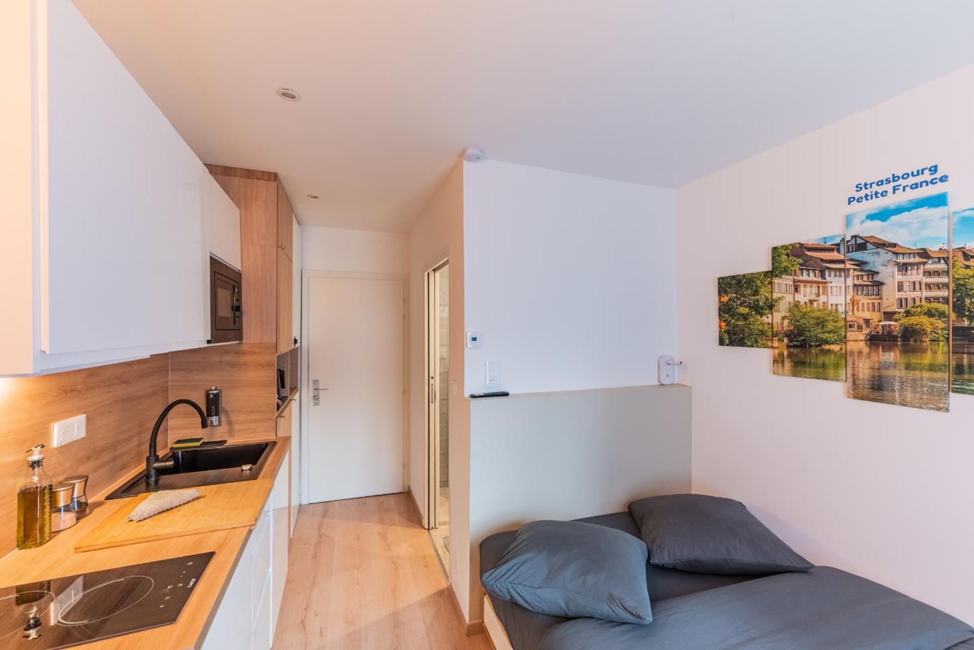 1 - Gare - Petite France - Commerces A Proximite Appartement *